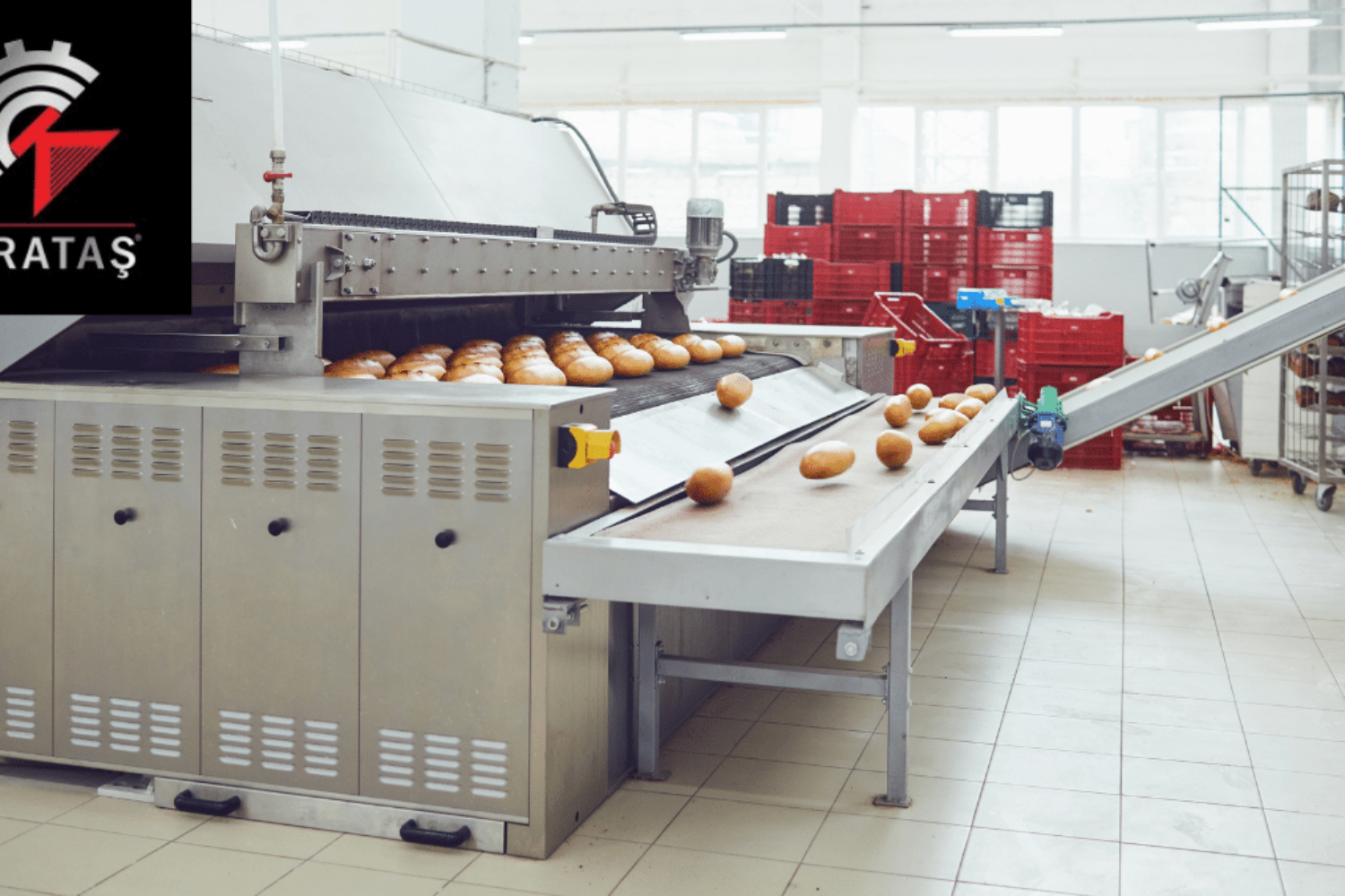 Ekmek Paketleme Makineleri